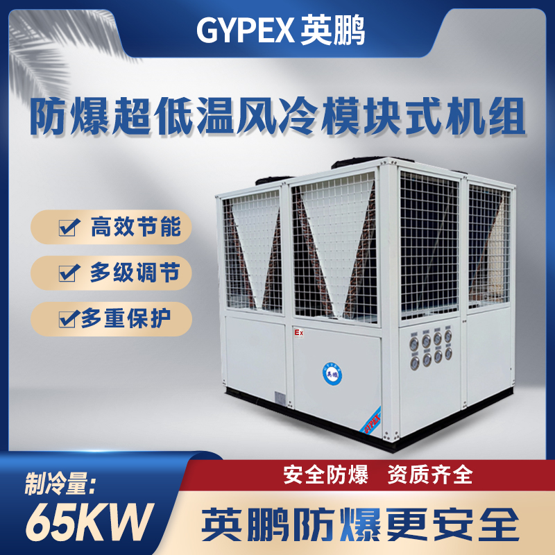 防爆超低温风冷模块机组65